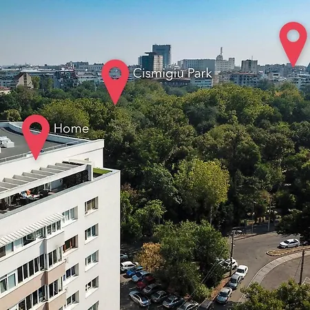 Qult - Up In The Sky Bucarest